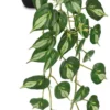 Unyqoos® Realistische hangende kunstplant met hartvormige bladeren voor thuisdecoratie