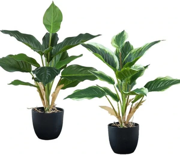 P-87213589661390-20260405142105.webp Unyqoos® Set van twee levensechte kunstplanten in pot voor decoratieve doeleinden